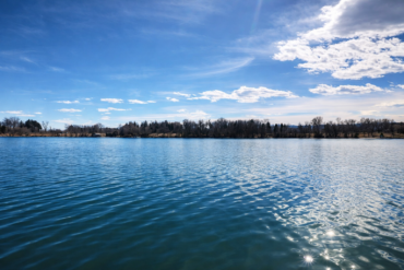 Golden Peak Recovery - Fenton Backyard View - Lake